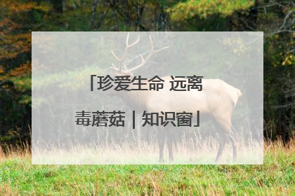 珍爱生命 远离毒蘑菇｜知识窗