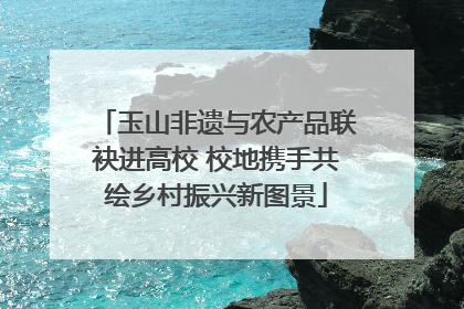 玉山非遗与农产品联袂进高校 校地携手共绘乡村振兴新图景