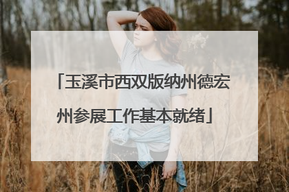 玉溪市西双版纳州德宏州参展工作基本就绪