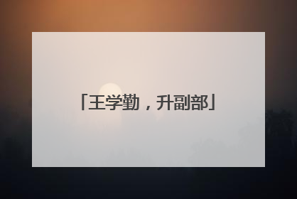 王学勤，升副部