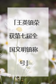 王英镇荣获第七届全国文明镇称号