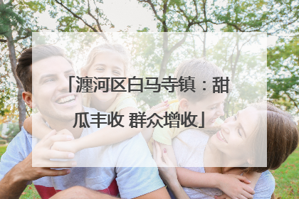 瀍河区白马寺镇：甜瓜丰收 群众增收