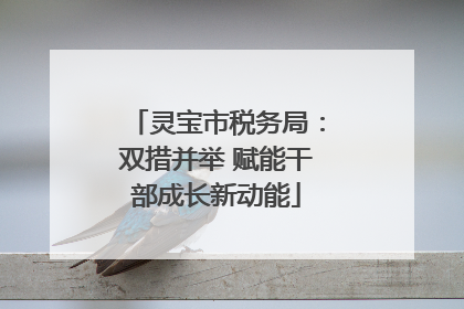 灵宝市税务局：双措并举 赋能干部成长新动能