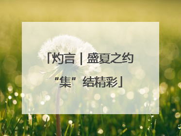 灼言｜盛夏之约 “集”结精彩