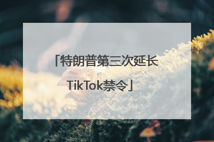 特朗普第三次延长TikTok禁令