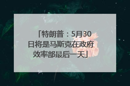 特朗普：5月30日将是马斯克在政府效率部最后一天