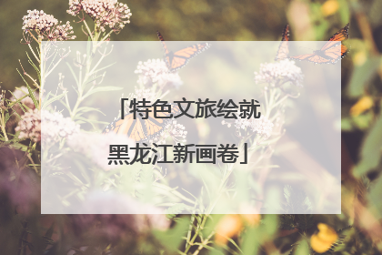 特色文旅绘就黑龙江新画卷