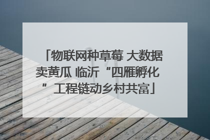 物联网种草莓 大数据卖黄瓜 临沂“四雁孵化”工程链动乡村共富