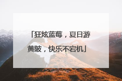 狂炫蓝莓，夏日游黄陂，快乐不宕机