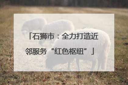 石狮市：全力打造近邻服务“红色枢纽”