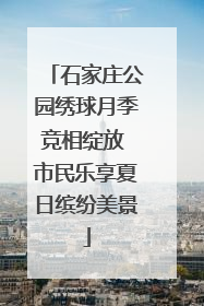 石家庄公园绣球月季竞相绽放 市民乐享夏日缤纷美景