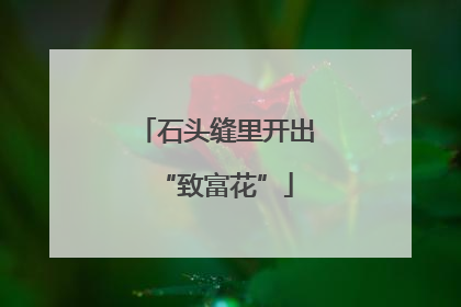 石头缝里开出“致富花”