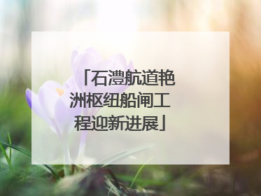 石澧航道艳洲枢纽船闸工程迎新进展