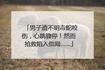 男子遭不明毒蛇咬伤，心跳骤停！然而抢救陷入僵局……