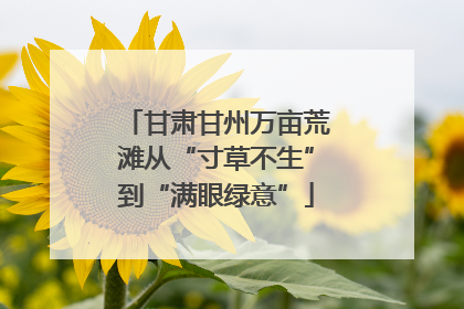 甘肃甘州万亩荒滩从“寸草不生”到“满眼绿意”