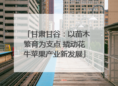 甘肃甘谷：以苗木繁育为支点 撬动花牛苹果产业新发展