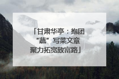 甘肃华亭：抱团“蔬”写菜文章 聚力拓宽致富路