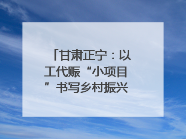 甘肃正宁：以工代赈“小项目”书写乡村振兴“大文章”