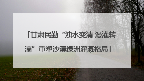 甘肃民勤“浊水变清 漫灌转滴”重塑沙漠绿洲灌溉格局