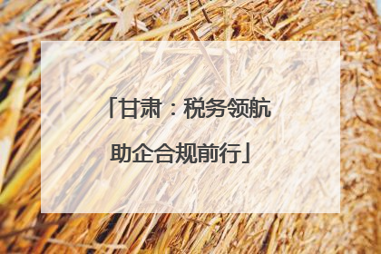 甘肃：税务领航 助企合规前行