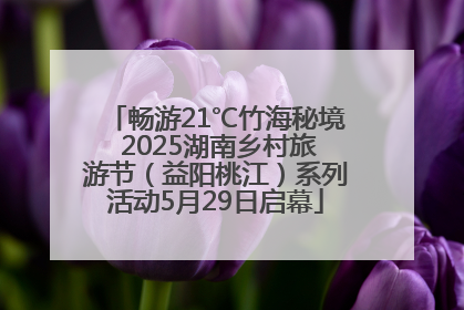畅游21℃竹海秘境 2025湖南乡村旅游节（益阳桃江）系列活动5月29日启幕