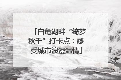 白龟湖畔“绮梦秋千”打卡点：感受城市浪漫温情