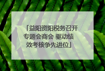 益阳资阳税务召开专题会商会 驱动绩效考核争先进位
