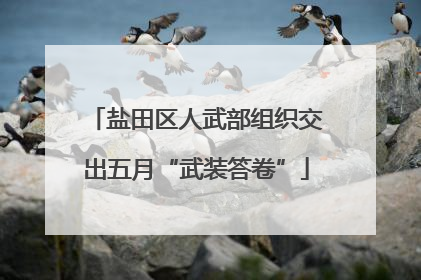 盐田区人武部组织交出五月“武装答卷”