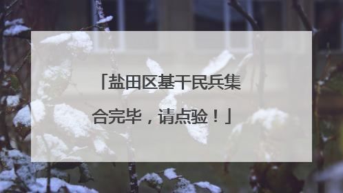 盐田区基干民兵集合完毕，请点验！