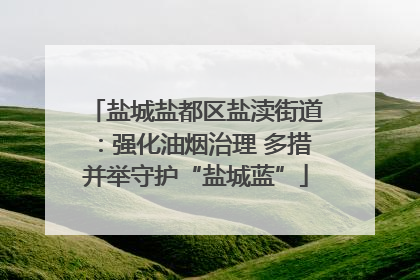 盐城盐都区盐渎街道：强化油烟治理 多措并举守护“盐城蓝”