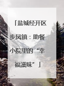 盐城经开区步凤镇：助餐小院里的“幸福滋味”