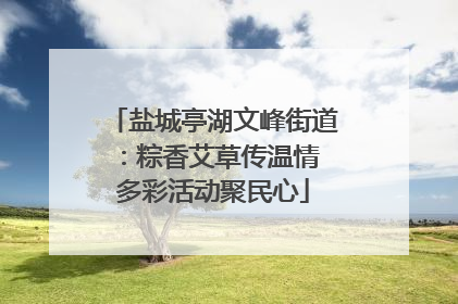 盐城亭湖文峰街道：粽香艾草传温情 多彩活动聚民心