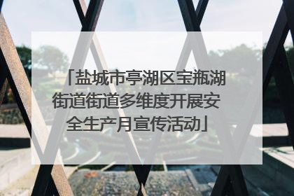 盐城市亭湖区宝瓶湖街道街道多维度开展安全生产月宣传活动