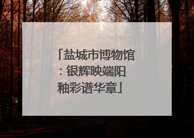 盐城市博物馆：银辉映端阳 釉彩谱华章