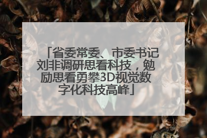 省委常委、市委书记刘非调研思看科技，勉励思看勇攀3D视觉数字化科技高峰