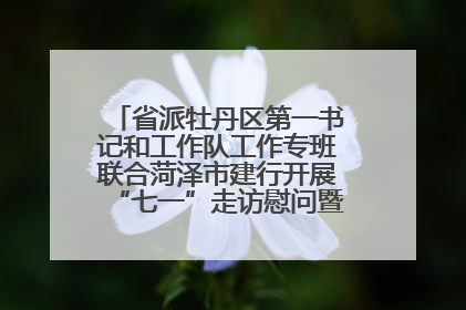 省派牡丹区第一书记和工作队工作专班联合菏泽市建行开展“七一”走访慰问暨红色教育活动