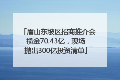 眉山东坡区招商推介会揽金70.43亿，现场抛出300亿投资清单