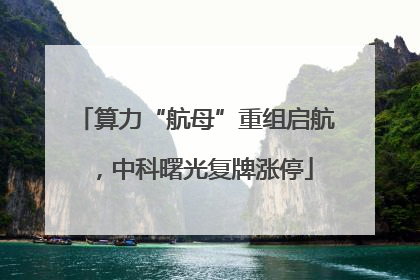 算力“航母”重组启航，中科曙光复牌涨停