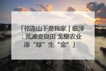 祁连山下是我家｜临泽：荒滩变良田 戈壁农业添“绿”生“金”