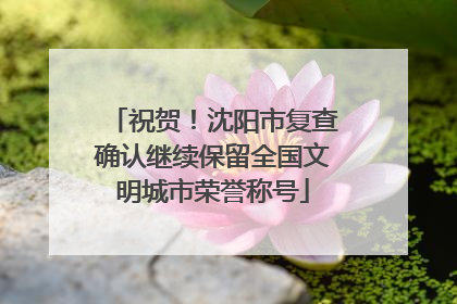 祝贺！沈阳市复查确认继续保留全国文明城市荣誉称号