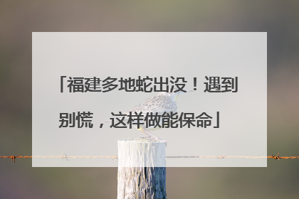 福建多地蛇出没！遇到别慌，这样做能保命