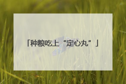 种粮吃上“定心丸”