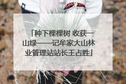 种下棵棵树 收获一山绿——记牟家大山林业管理站站长王占胜