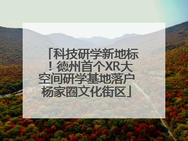 科技研学新地标！德州首个XR大空间研学基地落户杨家圈文化街区