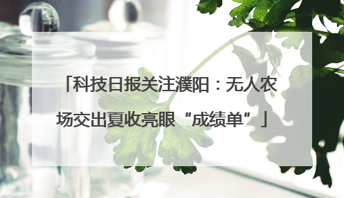 科技日报关注濮阳：无人农场交出夏收亮眼“成绩单”