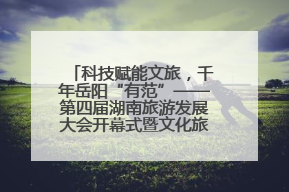 科技赋能文旅，千年岳阳“有范”——第四届湖南旅游发展大会开幕式暨文化旅游推介会侧记