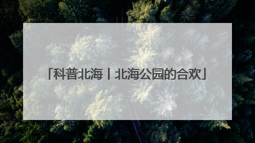 科普北海丨北海公园的合欢