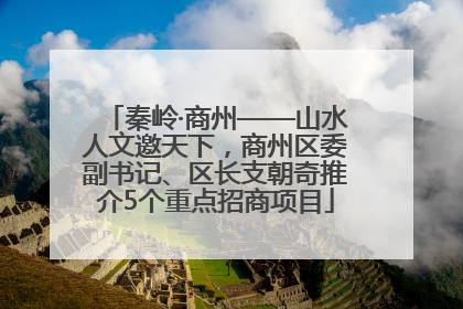 秦岭·商州——山水人文邀天下，商州区委副书记、区长支朝奇推介5个重点招商项目