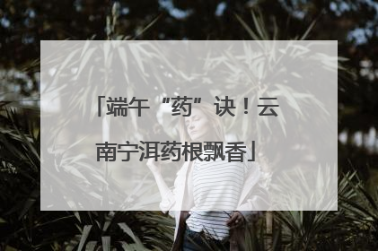 端午“药”诀！云南宁洱药根飘香