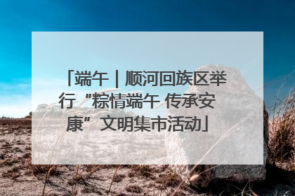 端午｜顺河回族区举行“粽情端午 传承安康”文明集市活动